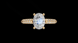 Catedral Doble Linea 1ct Oval - Oro Amarillo - Imagen 1
