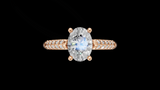 Catedral Doble Linea 1ct Oval - Oro Rosa - Imagen 1