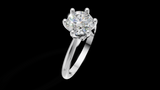 Catedral Minimalista 1ct 6u - Oro Blanco - Imagen 3